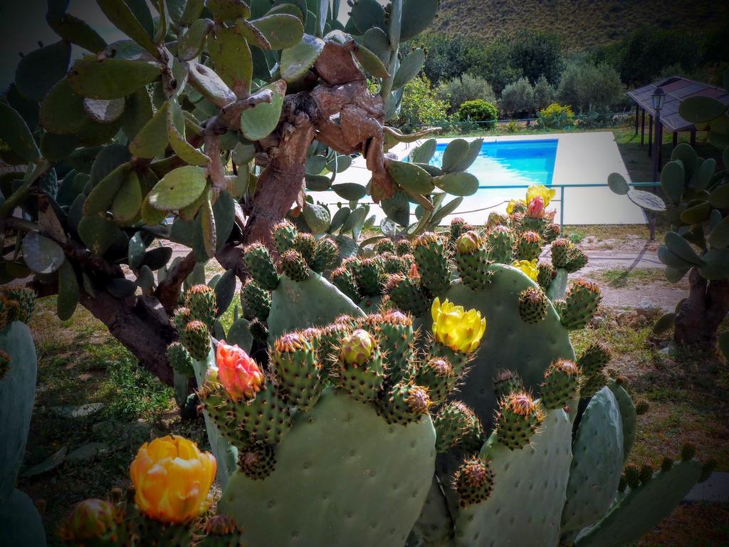 Agriturismo Timpa Del Sole Villa Noto Exteriör bild